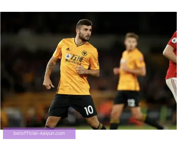 狼队表现分析：近期数据持续稳定，竞争力值得关注