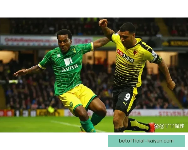 诺维奇降级补偿方案分析，球队未来发展面临挑战